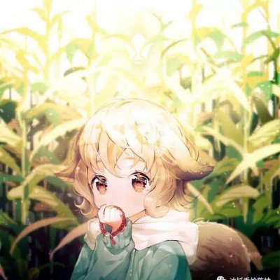 回到顶部